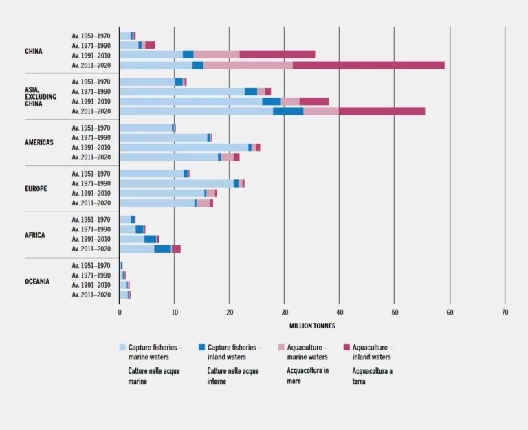 Contributo delle macro regioni alla produzione globale dei prodotti ittici: pesca e acquacoltura sia in mare, che su terraferma e in acque interne -Contribution of macro regions to the global production of seafood products: captures and aquaculture both at marine and inland waters © FAO, SOFIA 2022